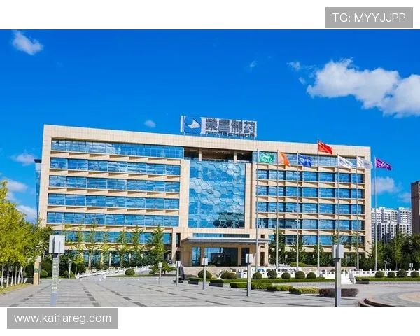 凯发K8.com官方入口：2024年最新入口地址及访问方法介绍