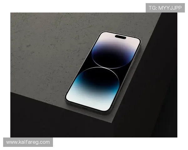 探索凯发手机版登录线路的安全性与用户体验分析 探索凯发手机版登录线路的安全性与用户体验分析