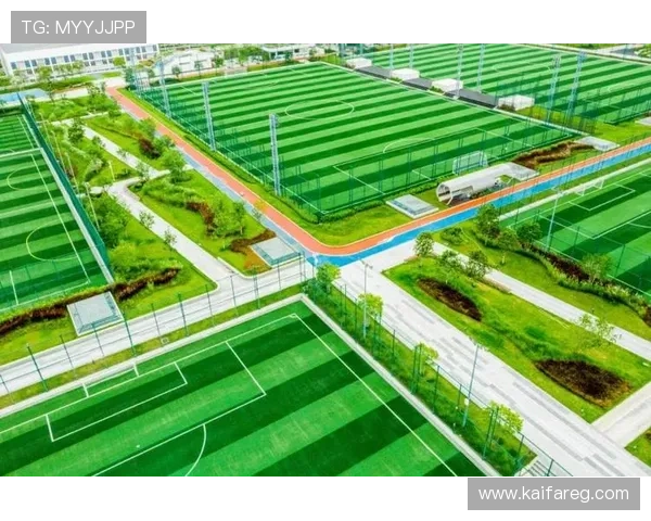 凯发体育登录平台介绍，全面解析其优势与用户使用指南