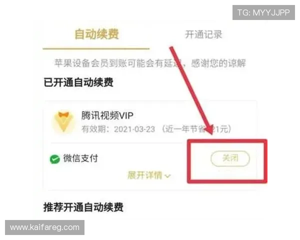 凯发VIP手机充值攻略详解多种支付方式保障您的资金安全与便捷 凯发VIP手机充值攻略详解多种支付方式保障您的资金安全与便捷